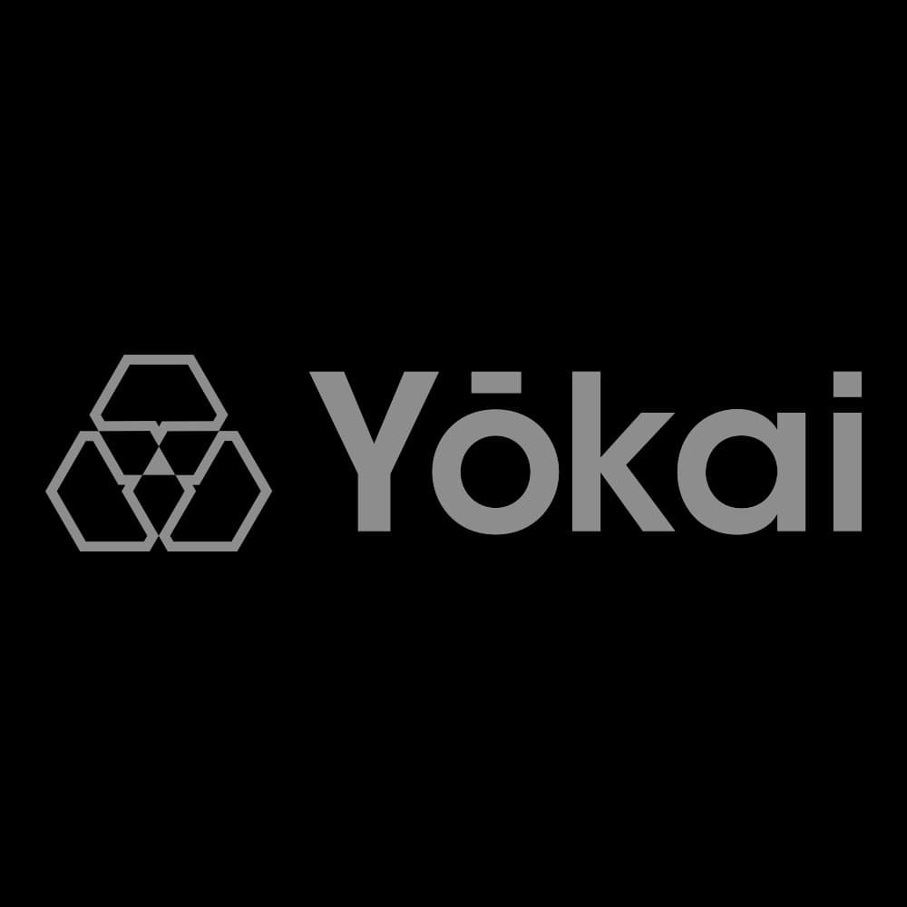 Cover Image for Yokai Network Joins Security Delta (HSD) as Premium Partner